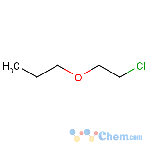 CAS No:42149-74-6 1-(2-chloroethoxy)propane