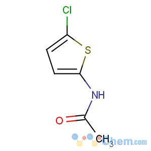 CAS No:42152-55-6 N-(5-chlorothiophen-2-yl)acetamide