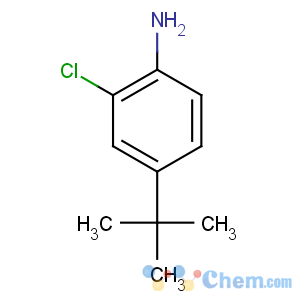 CAS No:42265-67-8 4-tert-butyl-2-chloroaniline