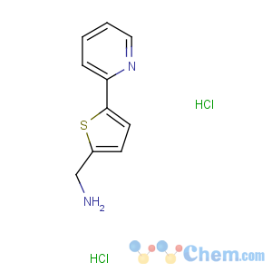 CAS No:423768-36-9 (5-pyridin-2-ylthiophen-2-yl)methanamine
