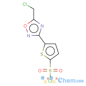 CAS No:423768-39-2 5-[5-(chloromethyl)-1,2,4-oxadiazol-3-yl]-2-thiophenesulphonyl chloride