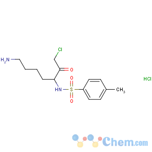 CAS No:4272-74-6 Benzenesulfonamide,N-[(1S)-5-amino-1-(2-chloroacetyl)pentyl]-4-methyl-, hydrochloride (1:1)