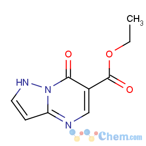 CAS No:43024-61-9 ethyl 7-oxo-1H-pyrazolo[1,5-a]pyrimidine-6-carboxylate