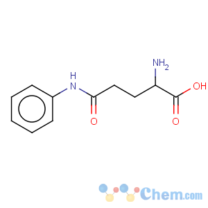 CAS No:4337-38-6 Glutamine, N-phenyl-