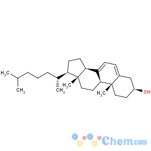 CAS No:434-16-2 7-Dehydrocholesterol