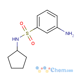 CAS No:436095-38-4 Benzenesulfonamide,3-amino-N-cyclopentyl-