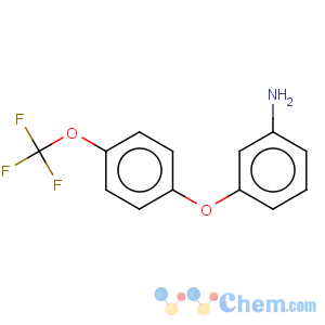 CAS No:436151-35-8 3-(4-trifluoromethoxy-phenoxy)-phenylamine