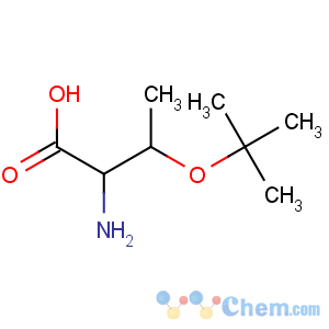 CAS No:4378-13-6 (2S,3R)-2-amino-3-[(2-methylpropan-2-yl)oxy]butanoic acid