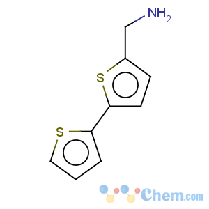 CAS No:4380-96-5 2,2'-Bithiophene-5-methylamine