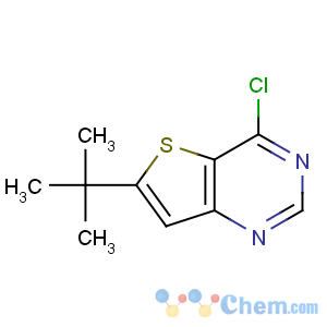 CAS No:439693-52-4 6-tert-butyl-4-chlorothieno[3,2-d]pyrimidine