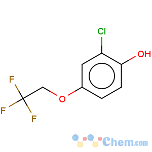 CAS No:444341-80-4 Phenol,2-chloro-4-(2,2,2-trifluoroethoxy)-