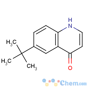 CAS No:444609-92-1 6-tert-butyl-1H-quinolin-4-one