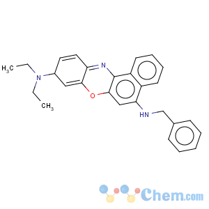 CAS No:4451-88-1 Benzo(a)phenazoxonium, 5-(benzylamino)-9-(diethylamino)-, chloride