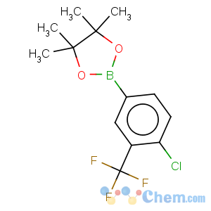 CAS No:445303-09-3 4-Chloro-3-trifluoromethylphenylboronic acidpinacol ester