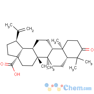 CAS No:4481-62-3 Betulonic acid