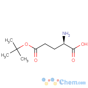 CAS No:45125-00-6 D-Glutamicacid, 5-(1,1-dimethylethyl) ester