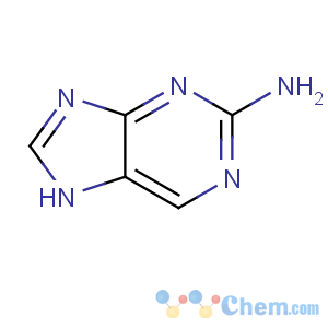 CAS No:452-06-2 7H-purin-2-amine
