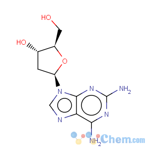 CAS No:4546-70-7 2,6-Diaminopurine 2'-deoxyriboside