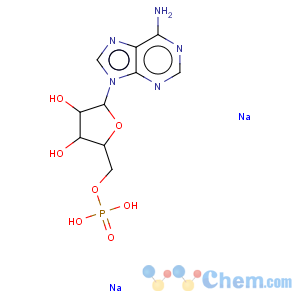 CAS No:4578-31-8 Adenosine 5'-monophosphoric acid disodium salt dihydrate