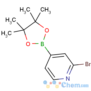 CAS No:458532-82-6 2-bromo-4-(4,4,5,5-tetramethyl-1,3,2-dioxaborolan-2-yl)pyridine