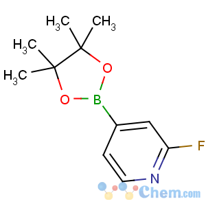 CAS No:458532-86-0 2-fluoro-4-(4,4,5,5-tetramethyl-1,3,2-dioxaborolan-2-yl)pyridine