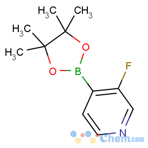 CAS No:458532-88-2 3-fluoro-4-(4,4,5,5-tetramethyl-1,3,2-dioxaborolan-2-yl)pyridine