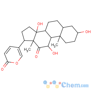 CAS No:464-74-4 Bufa-20,22-dienolide,3,11,14-trihydroxy-12-oxo-, (3b,5b,11a)-