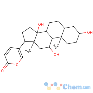 CAS No:465-11-2 5-[(3S,5R,8R,9S,10S,11R,13R,14S,17R)-3,11,14-trihydroxy-10,<br />13-dimethyl-1,2,3,4,5,6,7,8,9,11,12,15,16,<br />17-tetradecahydrocyclopenta[a]phenanthren-17-yl]pyran-2-one