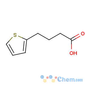 CAS No:4653-11-6 4-thiophen-2-ylbutanoic acid