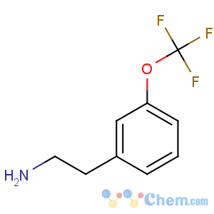 CAS No:467461-10-5 2-[3-(trifluoromethoxy)phenyl]ethanamine