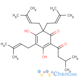 CAS No:468-28-0 2,4-Cyclohexadien-1-one,3,5-dihydroxy-2,6,6-tris(3-methyl-2-buten-1-yl)-4-(3-methyl-1-oxobutyl)-