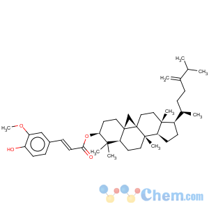 CAS No:469-36-3 9,19-Cyclolanostan-3-ol,24-methylene-, 3-(4-hydroxy-3-methoxyphenyl)-2-propenoate, (3b)-