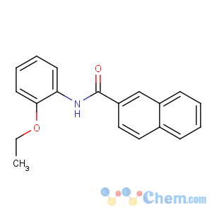 CAS No:4711-67-5 N-(2-ethoxyphenyl)naphthalene-2-carboxamide