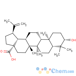 CAS No:472-15-1 Betulinic acid