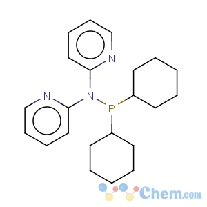 CAS No:472959-98-1 Di-(2-pyridyl)(dicyclohexylphosphino)amine