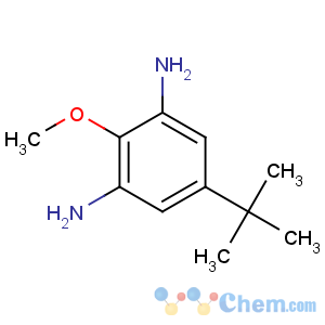 CAS No:473269-70-4 5-tert-butyl-2-methoxybenzene-1,3-diamine