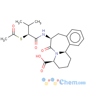 CAS No:473289-62-2 Ilepatril