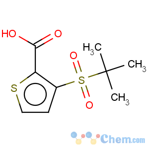 CAS No:473534-59-7 3-(2-Methyl-propane-2-sulfonyl)-thiophene-2-carboxylic acid