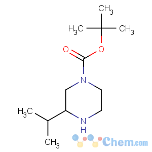 CAS No:475272-54-9 tert-butyl (3S)-3-propan-2-ylpiperazine-1-carboxylate