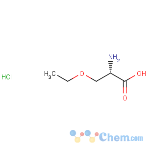 CAS No:4775-82-0 L-Serine, O-ethyl-