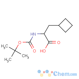 CAS No:478183-60-7 (2S)-3-cyclobutyl-2-[(2-methylpropan-2-yl)oxycarbonylamino]propanoic<br />acid