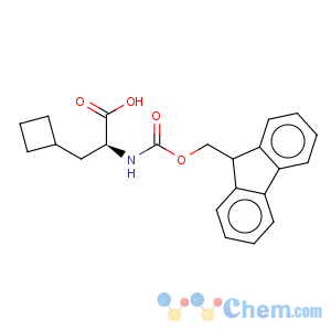 CAS No:478183-62-9 Cyclobutanepropanoicacid, a-[[(9H-fluoren-9-ylmethoxy)carbonyl]amino]-,(aS)-