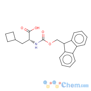 CAS No:478183-63-0 Cyclobutanepropanoicacid, a-[[(9H-fluoren-9-ylmethoxy)carbonyl]amino]-,(aR)-