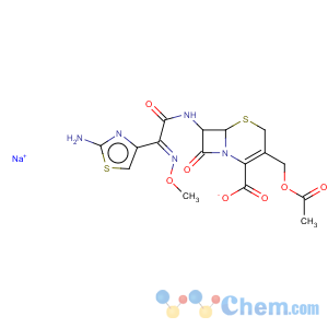 CAS No:478250-23-6 cefotaxime sodium