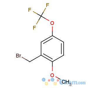 CAS No:478484-53-6 2-(bromomethyl)-1-methoxy-4-(trifluoromethoxy)benzene