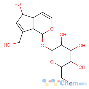 CAS No:479-98-1 b-D-Glucopyranoside,(1S,4aR,5S,7aS)-1,4a,5,7a-tetrahydro-5-hydroxy-7-(hydroxymethyl)cyclopenta[c]pyran-1-yl