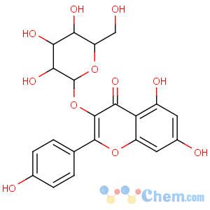 CAS No:480-10-4 5,7-dihydroxy-2-(4-hydroxyphenyl)-3-[(2S,3R,4S,5S,6R)-3,4,<br />5-trihydroxy-6-(hydroxymethyl)oxan-2-yl]oxychromen-4-one