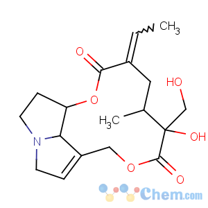 CAS No:480-54-6 retrorsine