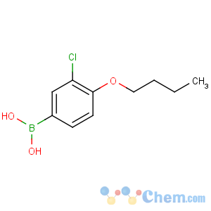 CAS No:480438-55-9 (4-butoxy-3-chlorophenyl)boronic acid