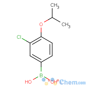 CAS No:480438-56-0 (3-chloro-4-propan-2-yloxyphenyl)boronic acid